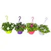 Plantiflor Ampelpflanze Petunie Topf- Durchmesser 21 cm