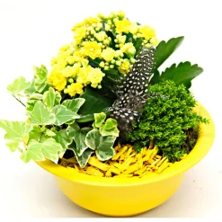 Sale Plantiflor Bepflanzte Gefäße mit Oster-Deko