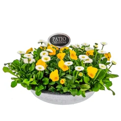 Sale Plantiflor Bepflanzte Zinkschale mit Oster-Deko