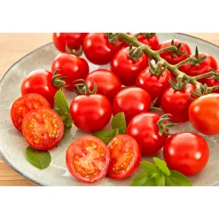 Discount Plantiflor Cocktailtomate plastikfrei Topf Durchmesser 12 cm