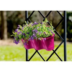 Hot Plantiflor Glockenblume blau Topf 11 cm