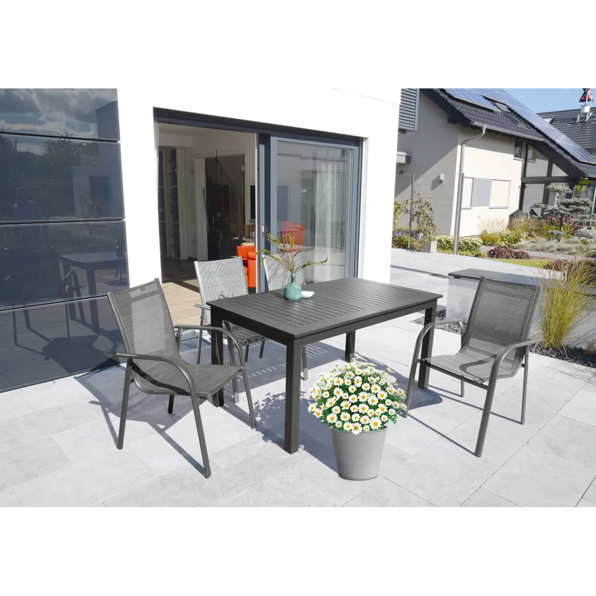 Best Plantiflor Margeritenbusch weiß im Topf Durchmesser 18 cm