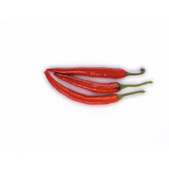 Hot Plantiflor Meisterklasse Peperonie Vulkan Topf Durchmesser 11 cm