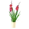 Online Plantiflor Orchideen-Mix Topf Durchmesser 9 cm