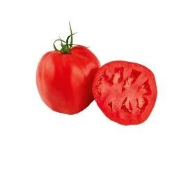 Hot Plantiflor Veredelte Salattomate Topf Durchmesser 12 cm