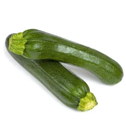 Outlet Plantiflor Zucchini Pflanze Topf Durchmesser 12 cm