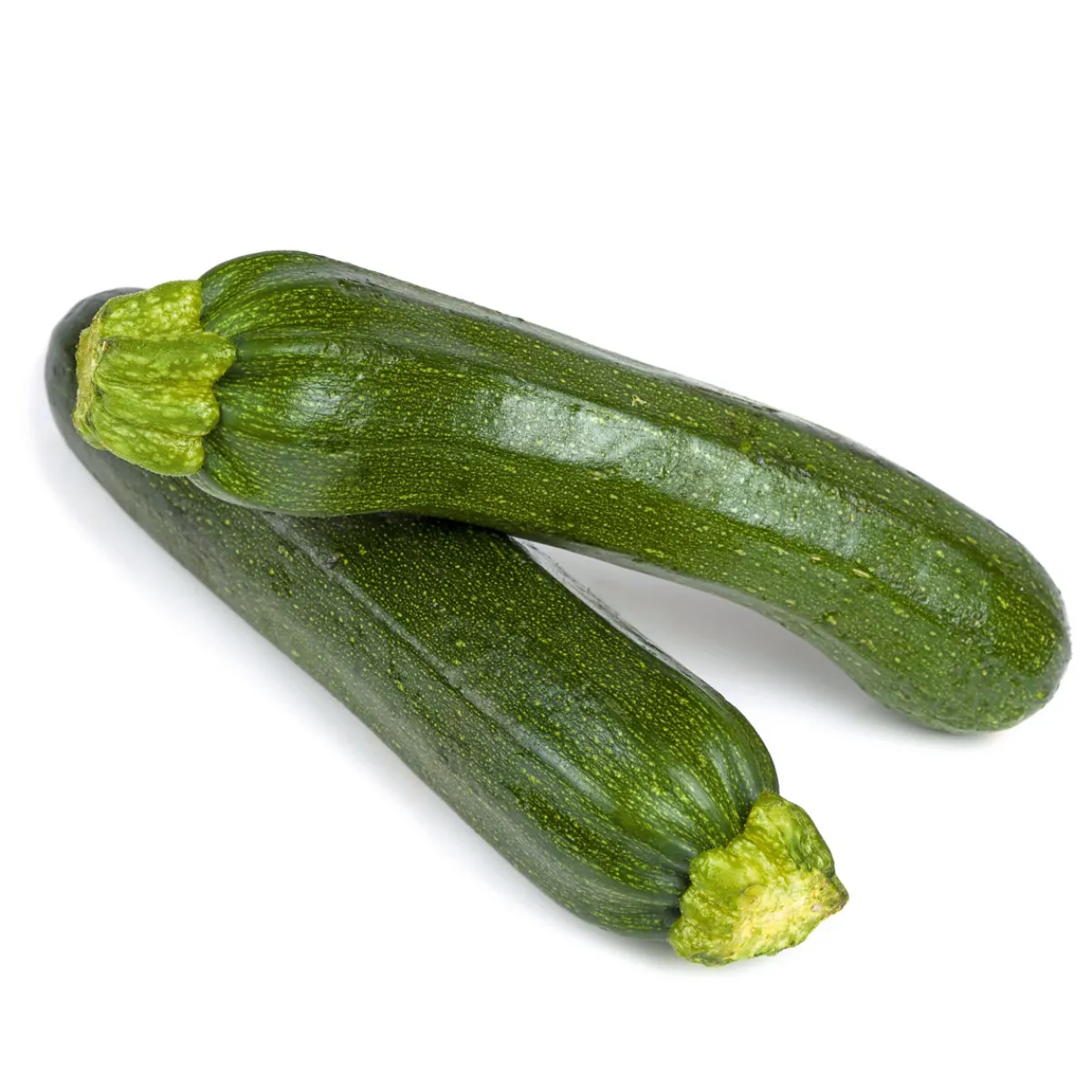 Outlet Plantiflor Zucchini Pflanze Topf Durchmesser 12 cm