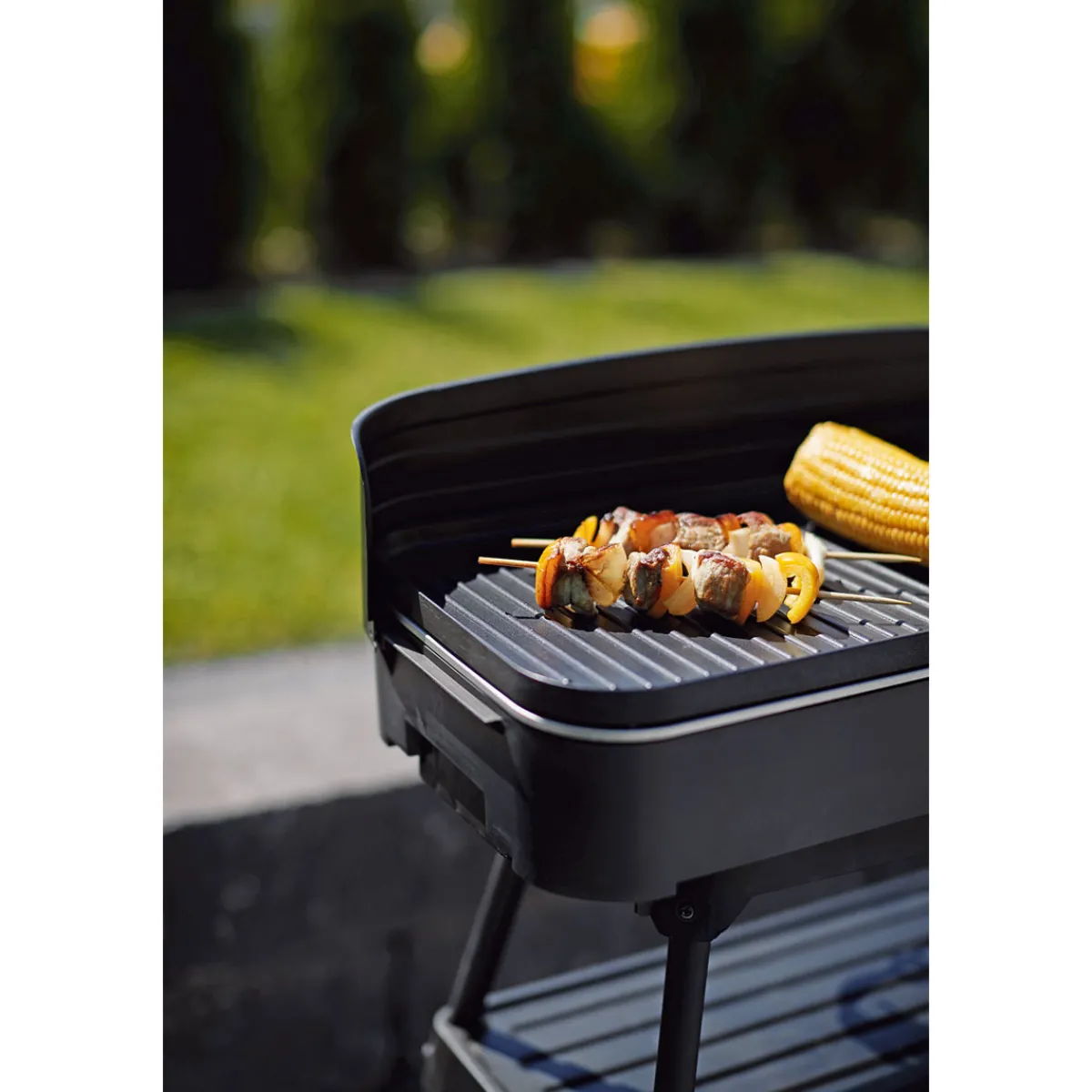 Best Rothmann Elektrogrill Brownsville 220 V