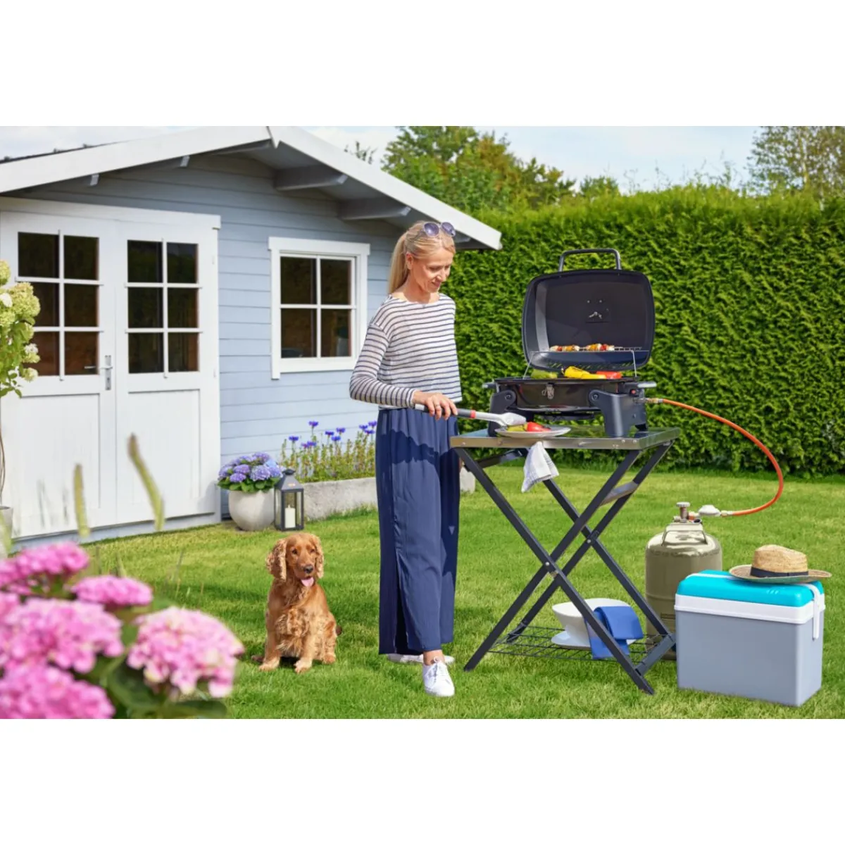 Clearance Rothmann Gasgrill Phoenix