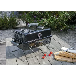 Hot Rothmann Holzkohlegrill Springfield 43,3 x 30 x 30,5 cm schwarz
