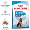 Clearance Royal Canin Trockenfutter Maxi Junior 4 kg