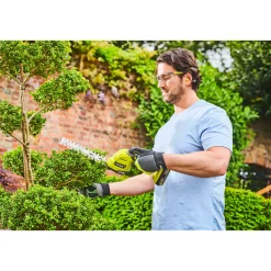 New Ryobi Akku-Gras und Strauchenschere RY18GSA-0