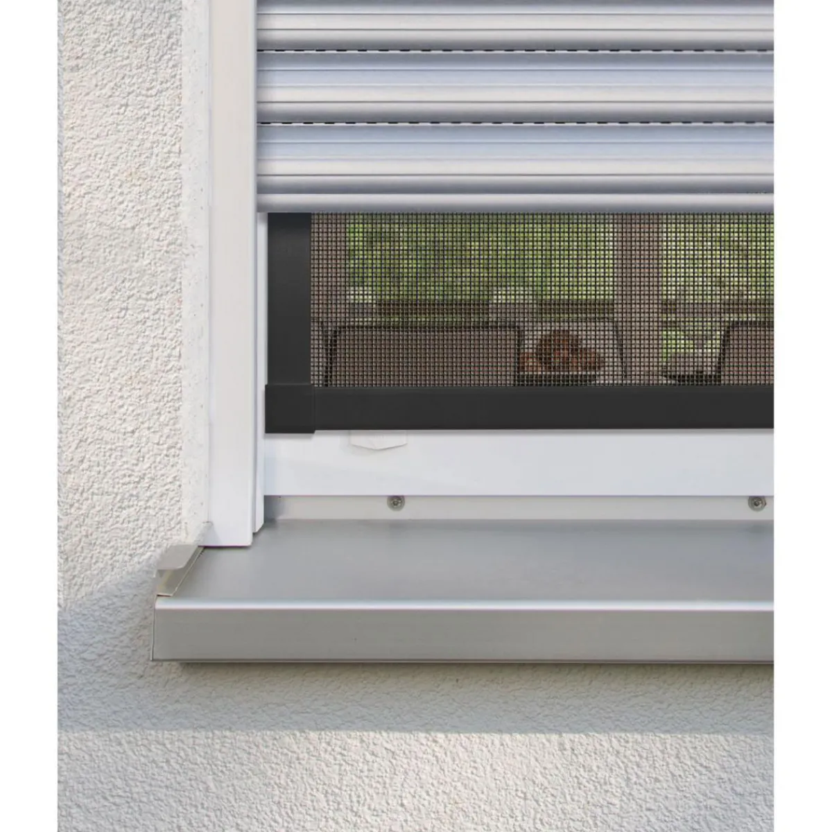 Online Schellenberg Insektenschutz-Fenster Plus 130 x 150 cm anthrazit