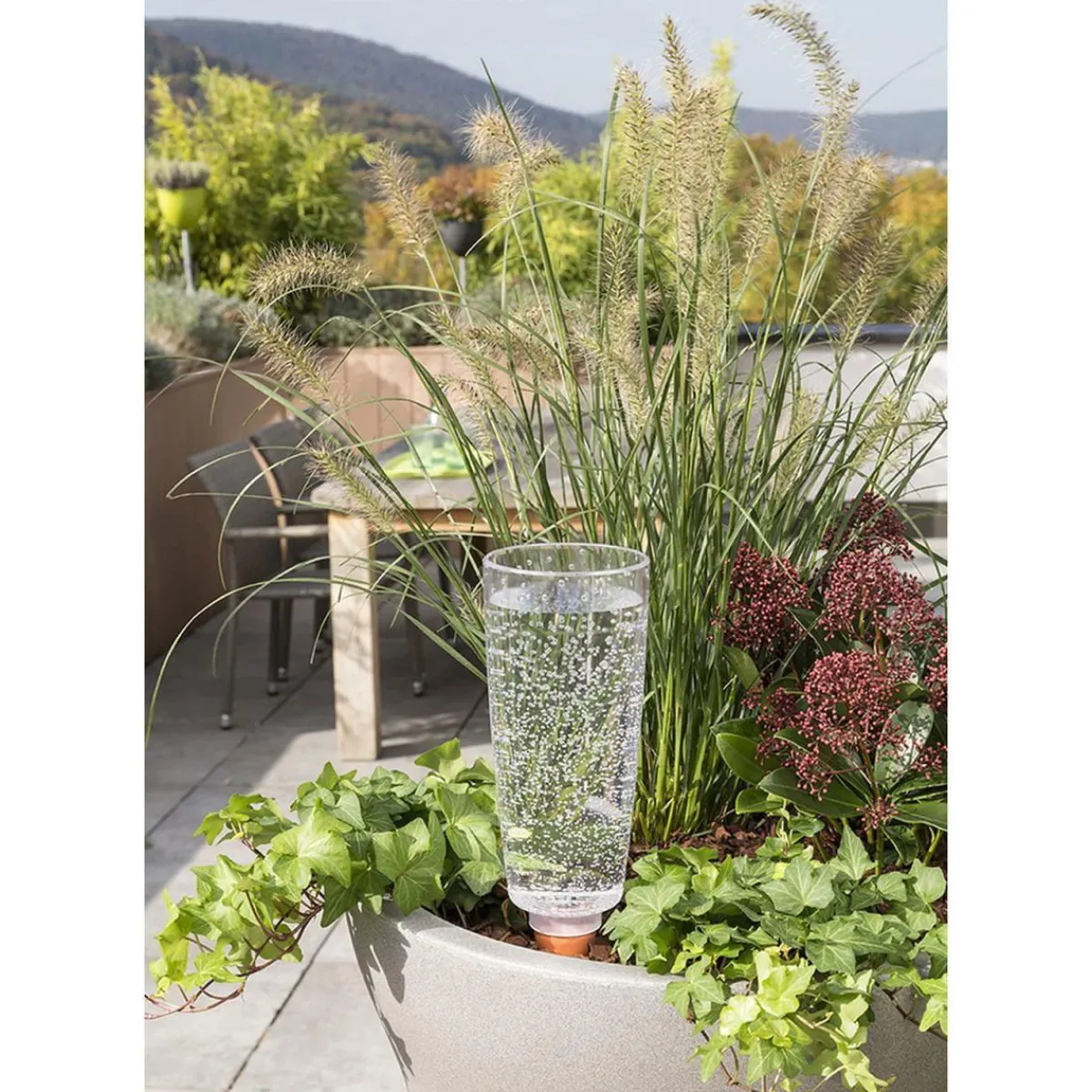 Discount Scheurich Bewaesserungsglas Copa 9 x 18 cm