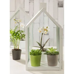 Discount Scheurich Mini Übertopf Expressive 937 7 cm