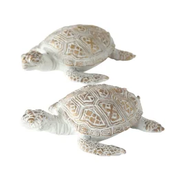 New Schildkroete Quila cm 2 Sorten