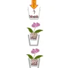 New Seramis Spezial-Substrat für Orchideen 7 L