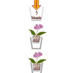 Outlet Seramis Spezial-Substrat Orchideen 2,5 L
