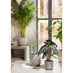 Sale Seramis Topper Graphite 1 L