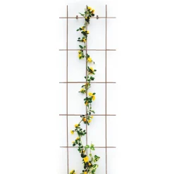 Sale Spalier 3- strebig braun