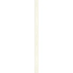 Specht Ambiente Paneel 10mm Pinie weiß