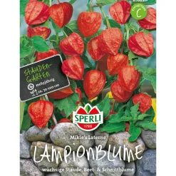 Online Sperli Lampionblumen Mikie´s Laterne