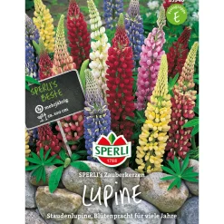 Outlet Sperli Lupinen ngs Zauberkerzen