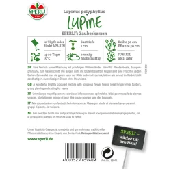 Outlet Sperli Lupinen ngs Zauberkerzen