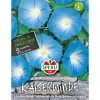 Clearance Sperli Prunkwinden ngs Blaue Königin