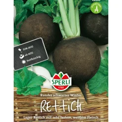 New Sperli Rettich Runder schwarzer Winter