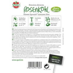 Clearance Sperli Rosenkohl Flower Sprout
