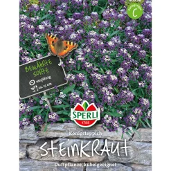 Outlet Sperli Steinkraut ngs Königsteppich
