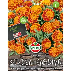 Online Sperli Studentenblumen Honeycomb