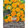 New Sperli Studentenblumen Petite Orange