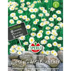 Sale Sperli Wiesengänseblümchen ngs Tausendschön