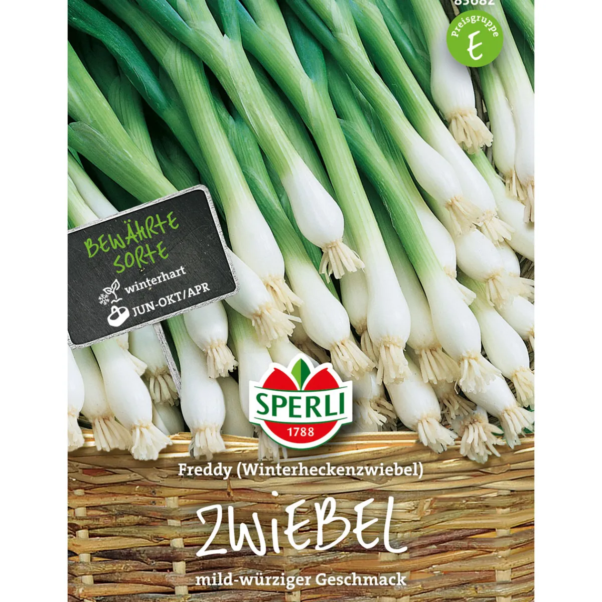 New Sperli Wintersteckzwiebeln Freddy