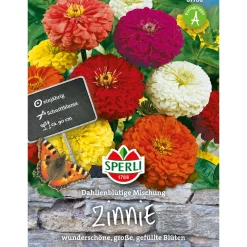 Outlet Sperli Zinnien Dahlienblütige Mischung