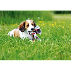 Sale Trixie Spieltau Baumwolle bunt 360g/54cm