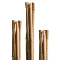 New Windhager Splittstäbe 40cm natur Bund 15