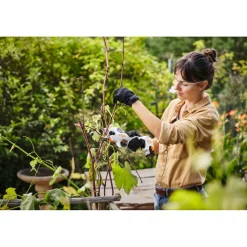 Discount Stihl Akku-Astschere ASA 20 Set