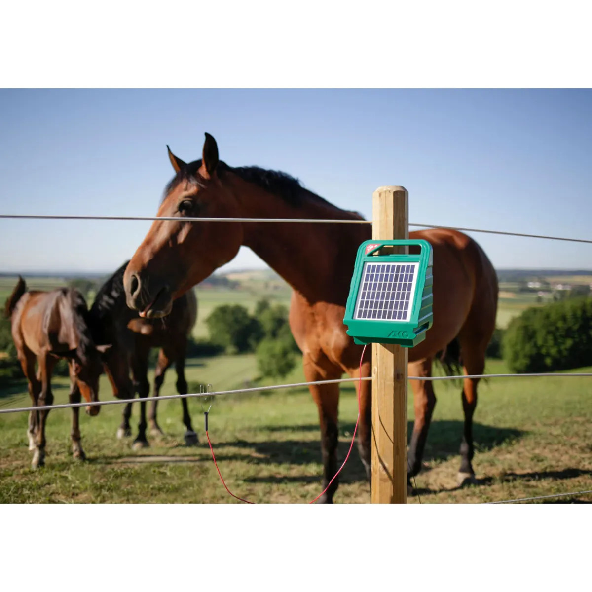 Sale SunPOWER Weidenzaungerät S250