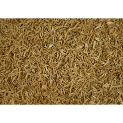 Discount Tetra Schildkrötenfutter Anchovies 250 ml