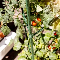 Outlet Windhager Tomaten-Rankturm 150x30cm