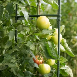 Outlet Windhager Tomaten-Rankturm 150x30cm