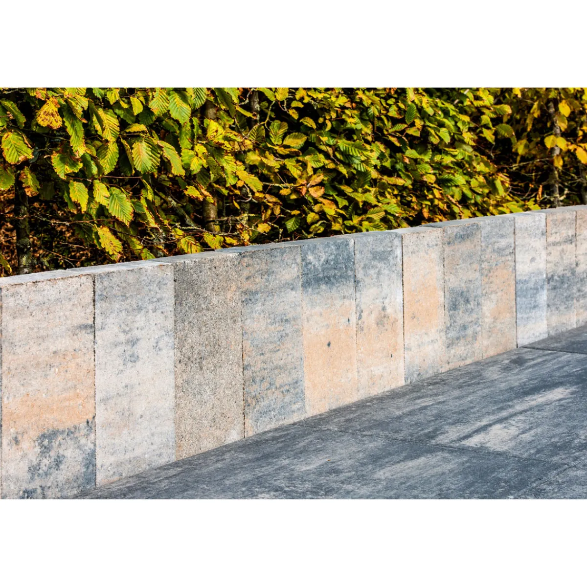 Best Diephaus Top Palisade Muschelkalk 30/15/4,5 cm