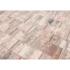 Sale Diephaus TP No. 1 Nature Muschelbeige 60x30x4 cm