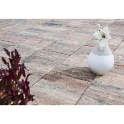 Sale Diephaus TP No. 1 Nature Muschelbeige 60x30x4 cm