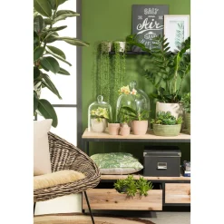 Sale Scheurich Uebertopf 866/25 corteza menta