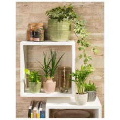 Best Scheurich Uebertopf 866/25 corteza panna