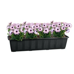 Geli Untersetzer Aqua Green Plus anthrazit 60 cm